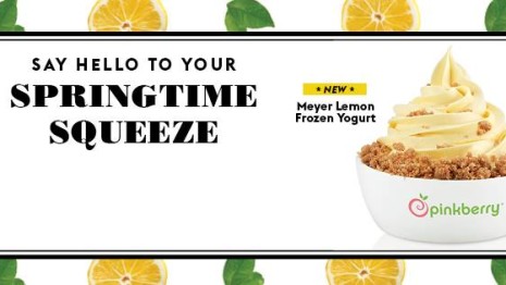 Enjoy the latest frozen yogurt flavor