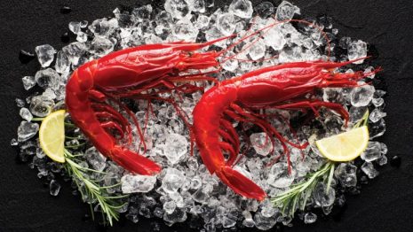 c.taste Seafood Night Packages Offer