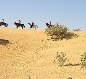 45-Minute Riding Lesson and Two-Hour Desert Hack with Al Jumooh Equestrian Club (27% Off) Entertainment Offers Shop Online at Special Price from Dubai Offers