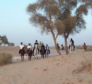 90-Minute Desert Hacking with Optional Riding Lesson for One or Two from Hobbies Club Entertainment Offers Shop Online at Special Price from Dubai Offers
