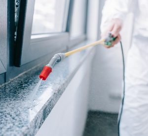 Apartment, Villa or Office Disinfection Service from Next Up Technical & Cleaning Services Home Services Shop Online at Special Price from Dubai Offers