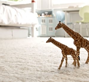 Carpet Cleaning for Up to 15 Square Metres from E K A Y Laundry (Up to 47% Off) Home Services Shop Online at Special Price from Dubai Offers