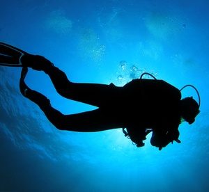 Choice of Two-Hour Diving Introduction at Nemo Diving Centre Entertainment Offers Shop Online at Special Price from Dubai Offers