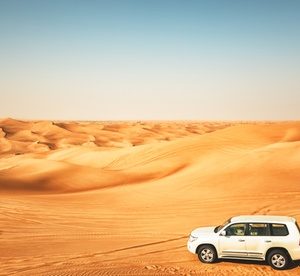 Desert Safari with Pick-Up and Barbecue Buffet with Princess Tourism Entertainment Offers Shop Online at Special Price from Dubai Offers