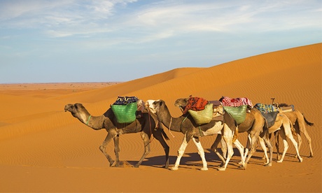 Buy Morning Desert Safari from AED 175 with Desert Tours (Up to 55% Off) Now at Special Price in DubaiOffers.com 2 Morning Desert Safari from AED 175 with Desert Tours (Up to 55% Off) Entertainment Offers Shop Online at Special Price from Dubai Offers 2
