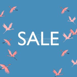 Oasis Part Sale – Upto 50% off City Centre Mirdif Shop Online at Special Price from Dubai Offers