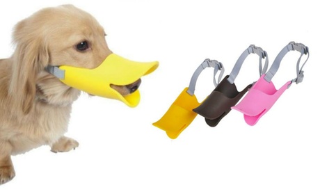 Buy One (from AED 39) or Three (from AED 89) Anti-Bite Duck Mouths for Dogs Now at Special Price in DubaiOffers.com 2 One (from AED 39) or Three (from AED 89) Anti-Bite Duck Mouths for Dogs Miscellaneous Shop Online at Special Price from Dubai Offers 2