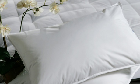Buy Pillow or Pillow Protectors in Choice of Designs from AED 29 (Up to 64% Off) Now at Special Price in DubaiOffers.com 2 Pillow or Pillow Protectors in Choice of Designs from AED 29 (Up to 64% Off) Furniture's & Decor Shop Online at Special Price from Dubai Offers 2