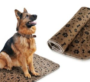 Two (AED 89) or Four (AED 159) Reusable Dog Training or Travel Pads Miscellaneous Shop Online at Special Price from Dubai Offers
