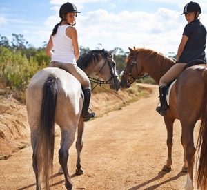 Up to Eight 45-Minute Horse riding Lessons from Hobbies Club Entertainment Offers Shop Online at Special Price from Dubai Offers