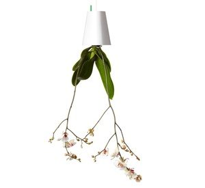 Upside-Down Hanging Planter: One (AED 49), Two (AED 89) or Four (AED 169) Miscellaneous Shop Online at Special Price from Dubai Offers