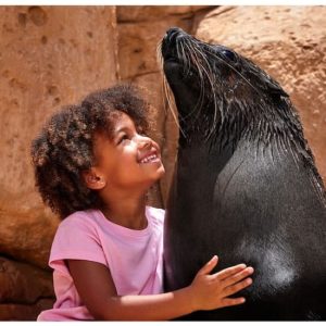 Atlas Village – Sea Lion Experiences at Atlantis The Palm, Dubai, United Arab Emirates Family Shop Online at Special Price from Dubai Offers