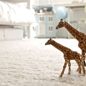 Carpet Cleaning Men's Shop Online at Special Price from Dubai Offers