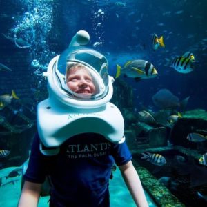 Dubai Atlantis: Aquaventure Waterpark + Shark Safari or Snorkel Experience at Aquaventure Waterpark, Dubai, United Arab Emirates Activities Shop Online at Special Price from Dubai Offers