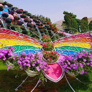 Dubai Butterfly Garden: Skip The Line at Dubai Butterfly Garden, Dubai, United Arab Emirates On A Budget Shop Online at Special Price from Dubai Offers