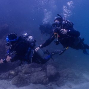 Experience Scuba Diving With Pool And Beach Dives! WATER SPORTS Shop Online at Special Price from Dubai Offers