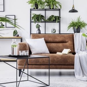 Interior Design And Home Decorating Online Course From Alpha Academy Men's Shop Online at Special Price from Dubai Offers