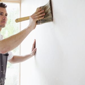 Interior Painter – House PRODUCTS HOME AND GARDEN Shop Online at Special Price from Dubai Offers