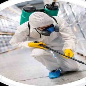 Pest Control Service – General HANDYMAN SERVICES Shop Online at Special Price from Dubai Offers
