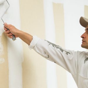 Transform Your Apartment With A Fresh Coat Of Paint PRODUCTS HOME AND GARDEN Shop Online at Special Price from Dubai Offers