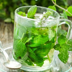 Unlock The Secrets Of Herbs With Master Herbalist Course Men's Shop Online at Special Price from Dubai Offers