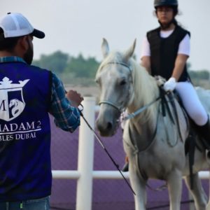 Ride Through Desert Beauty With Horseback Hacks & Arena Lessons Men's Shop Online at Special Price from Dubai Offers