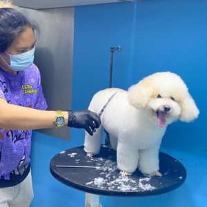 Get Full Grooming For Cats Or Small, Medium, Large Or Extra Large Dogs PETS Shop Online at Special Price from Dubai Offers