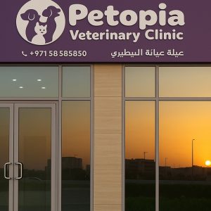 Comprehensive Pet Grooming For Cats And Dogs Up To 40 Kg PETS Shop Online at Special Price from Dubai Offers