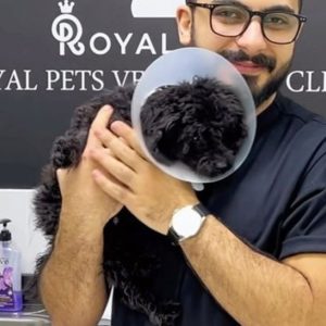 Dog Cat Medical Check Up W Optional Deworming Or Annual Vaccination PETS Shop Online at Special Price from Dubai Offers