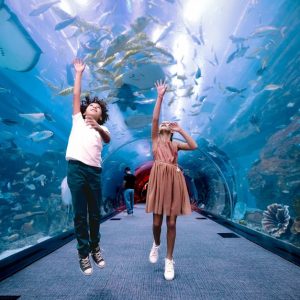Entry For 1, 2 Or 4 Adults To World’S Largest Suspended Aquarium Shop Online at Special Price from Dubai Offers