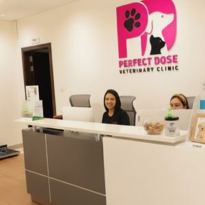 Cat Or Dog Full Grooming PETS Shop Online at Special Price from Dubai Offers