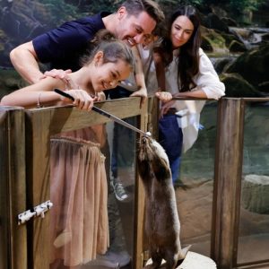 Double The Fun: Dubai Aquarium W Penguin Cove + Choice Of Attraction Men's Shop Online at Special Price from Dubai Offers