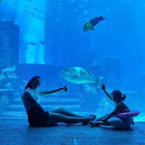 Explore The Lost World Aquarium – Entry For Kids, Adults & Families PARKS Shop Online at Special Price from Dubai Offers