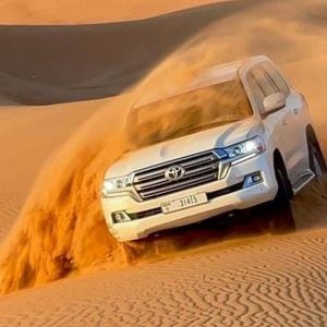 Dive Into Adventure: Vip Seating, 45-Min Dune Bashing & Falcon Photo MOTOR SPORTS Shop Online at Special Price from Dubai Offers