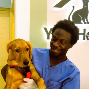 Cat Or Small, Medium, Large Or X-large Dog Basic Or Full Grooming PETS Shop Online at Special Price from Dubai Offers