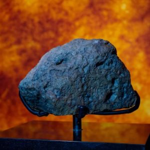 Natural History Museum Abu Dhabi: Entry Ticket at Natural History Museum Abu Dhabi, Abu Dhabi, United Arab Emirates Culture Shop Online at Special Price from Dubai Offers