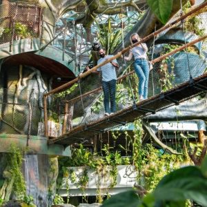Child Or Adult Pass: Green Planet Day Or Optional Ain Dubai Adult Pass WATER SPORTS Shop Online at Special Price from Dubai Offers