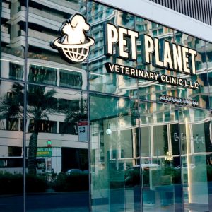 Full Grooming For Cat Or Small Dog, Medium Or Large Dog PETS Shop Online at Special Price from Dubai Offers