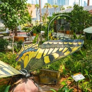 The Green Planet Dubai Tickets – Indoor Rainforest Experience Men's Shop Online at Special Price from Dubai Offers