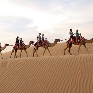 Tour – Bike MOTOR SPORTS Shop Online at Special Price from Dubai Offers