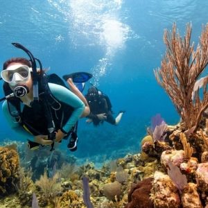 Shore Dive To Snoopy Islands Thriving Reef In Fujairah Marine Park WATER SPORTS Shop Online at Special Price from Dubai Offers