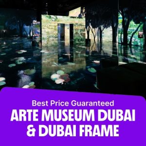 Combos and more adventures ARTE Museum Dubai & Dubai Frame Combos and more adventures Shop Online at Special Price from Dubai Offers
