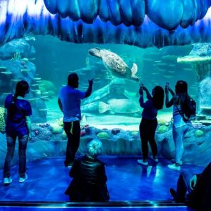 Indoor Attractions Aquarium de Paris: Entry Ticket Indoor Attractions Shop Online at Special Price from Dubai Offers