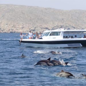 Recently Added Experiences Bandar Rowdha Marina Dolphin Tour Recently Added Experiences Shop Online at Special Price from Dubai Offers