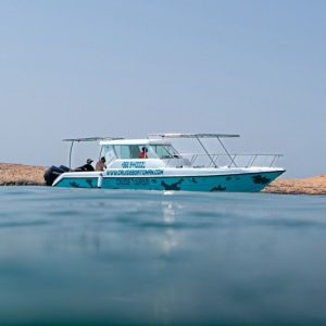 Boat Tours and Cruises Daymaniyat Island Half Day Sharing Trip Boat Tours and Cruises Shop Online at Special Price from Dubai Offers