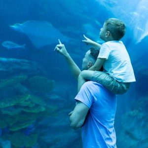 Experiences Dubai Aquarium & Underwater Zoo – Ray Encounter Experiences Shop Online at Special Price from Dubai Offers