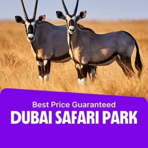 Experiences Dubai Safari Park Experiences Shop Online at Special Price from Dubai Offers