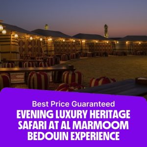 Desert safaris Evening Luxury Heritage Safari at Al Marmoom Bedouin Experience Desert safaris Shop Online at Special Price from Dubai Offers