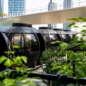 Top-Rated Attractions Exclusive 2-Course Festive Brunch – The Pods Top-Rated Attractions Shop Online at Special Price from Dubai Offers