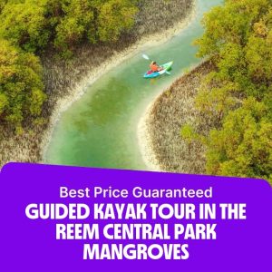 Water Sports Guided Kayak Tour in the Reem Central Park Mangroves Travel, Activities & Events Shop Online at Special Price from Dubai Offers